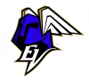 Eräviikingit